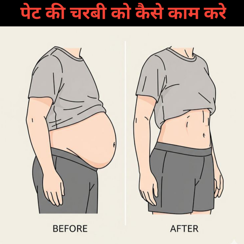 Pet ki charbi kam karne ke upay